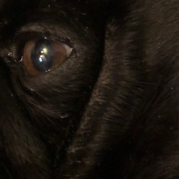 Meet your Posher, Dean - Picture 1 of 1